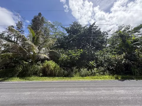 6 Th Ave, Keaau, HI 96749