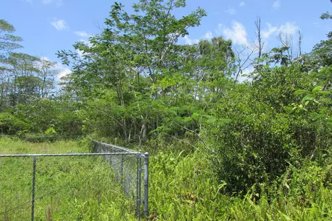 Plumeria Rd, Pahoa, HI 96778