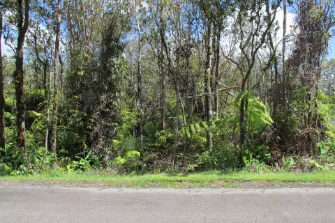 Mokuna St, Volcano, HI 96785