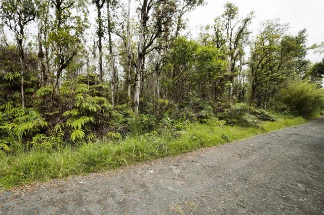 11-1766 Pilo St, Mountain View, HI 96771