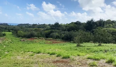 Laipo Rd, Kapaa, HI 96746