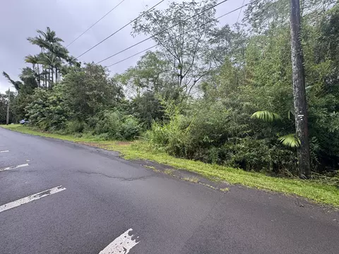 Ala Loop, Mountain View, HI 96771 photo 17