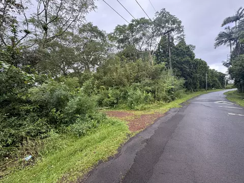 Ala Loop, Mountain View, HI 96771 photo 18