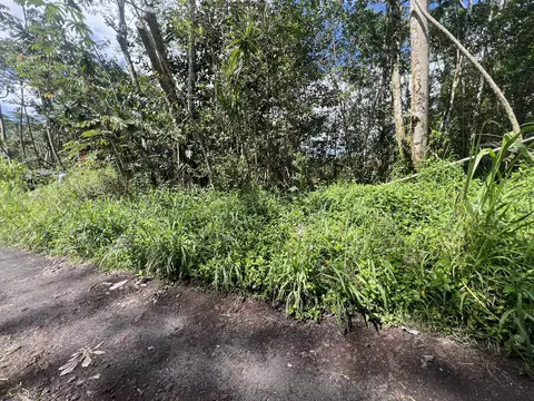 Tiki Rd, Kurtistown, HI 96760