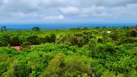 Amepela Rd, Naalehu, HI 96772