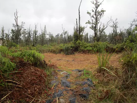 Omeka Rd, Volcano, HI 96785 photo 12