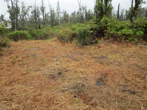 Omeka Rd, Volcano, HI 96785 photo 13