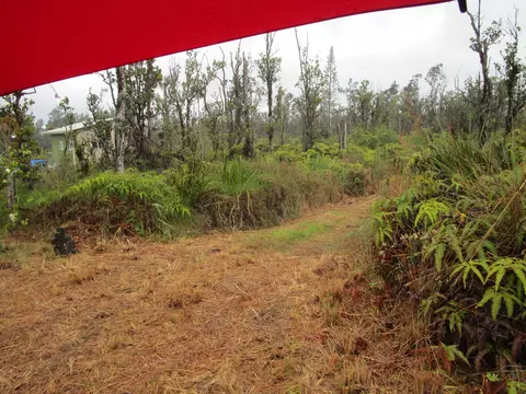 Omeka Rd, Volcano, HI 96785 photo 14