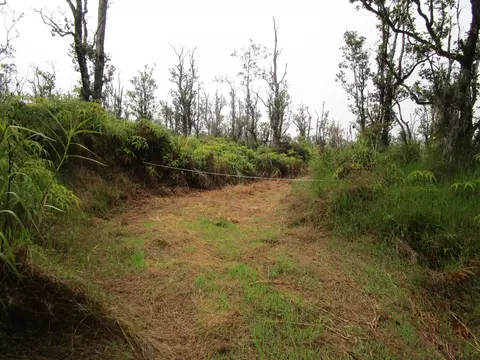 Omeka Rd, Volcano, HI 96785 photo 5