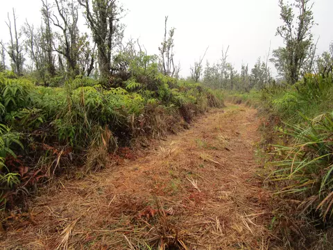 Omeka Rd, Volcano, HI 96785 photo 6