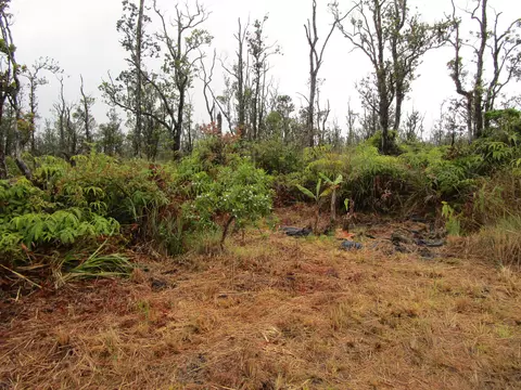 Omeka Rd, Volcano, HI 96785 photo 10