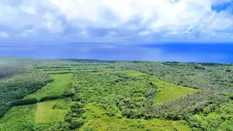 Pohoiki Kalapana Rd, Pahoa, HI 96778