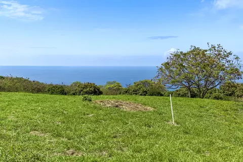 81-6460 Laukapalili Way, Kealakekua, HI 96750