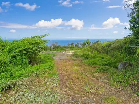 88-1581 Papio Dr, Captain Cook, HI 96704