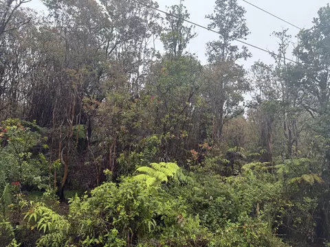 Road 9, Mountain View, HI 96771 photo 2