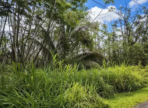 Molokai Rd, Pahoa, HI 96778