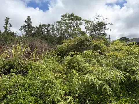 Hapuu Dr, Pahoa, HI 96778