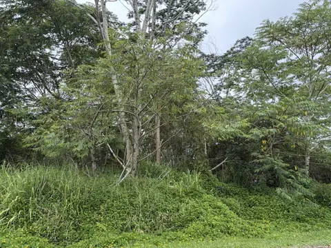 Hapuu Dr, Pahoa, HI 96778