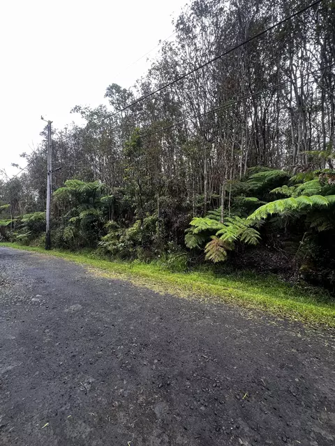 Road 11, Mountain View, HI 96771