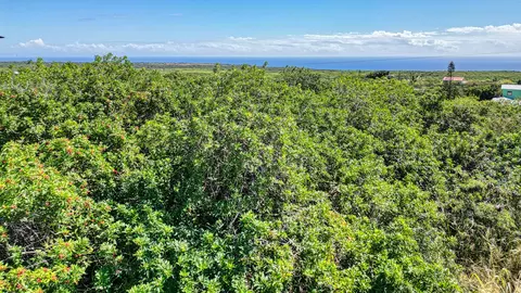 Pele St, Naalehu, HI 96772
