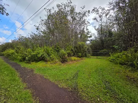 16-1437 Opeapea Rd, Kurtistown, HI 96760