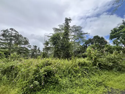 Lehua Rd, Pahoa, HI 96778
