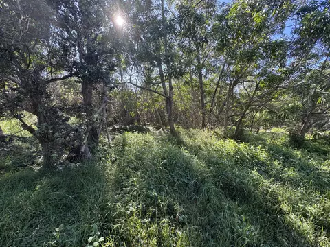 Trade Wind Blvd, Ocean View, HI 96737