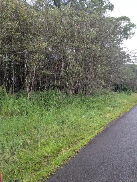 40 Th Ave, Kurtistown, HI 96760
