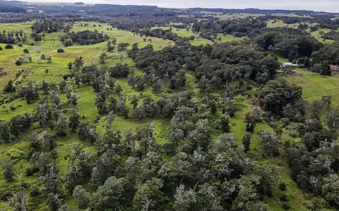 43-1815 Manienie Rd, Paauilo, HI 96776