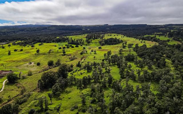 43-1831 Manienie Rd, Paauilo, HI 96776