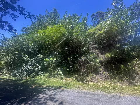 15-1144 Amau Rd, Keaau, HI 96749