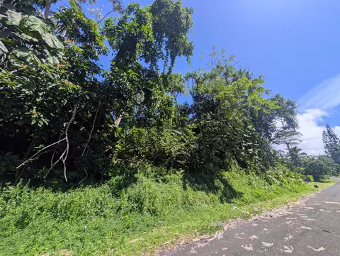 15-179 Puni Lani Loop, Pahoa, HI 96778