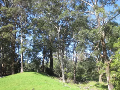 43-1809 Manienie Rd, Paauilo, HI 96776