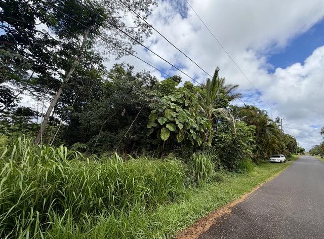 Lalakea St, Pahoa, HI 96778