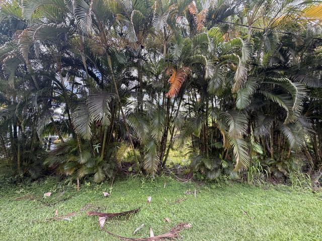 Lalakea St, Pahoa, HI 96778