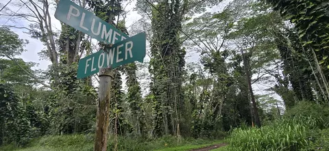 Undisclosed, Pahoa, HI 96778