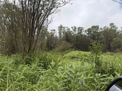 Road 1, Mountain View, HI 96771 photo 3