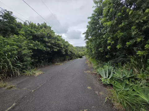 Mauka St, Naalehu, HI 96772