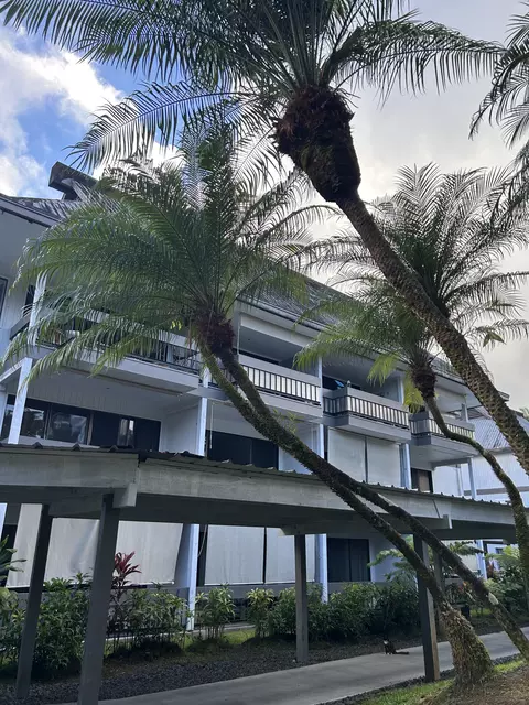 400 Hualani St #5242, Hilo, HI 96720
