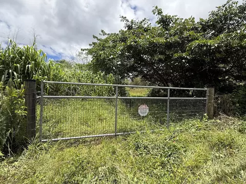 11-2972 Palainui Ave, Mountain View, HI 96771