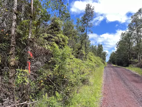 Apele Rd, Mountain View, HI 96771 photo 7