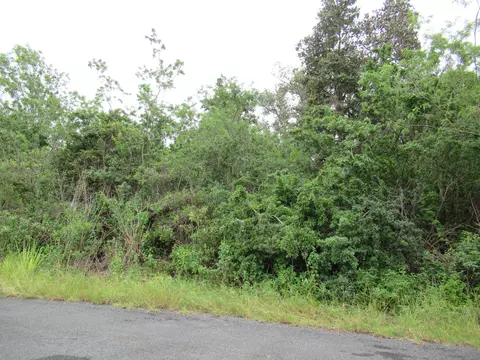 lot Us Blossom Circle Mauka, Ocean View, HI 96737