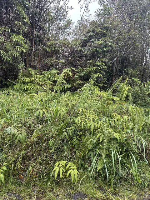 Road 14, Mountain View, HI 96771