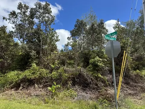 Undisclosed, Volcano, HI 96785 photo 3