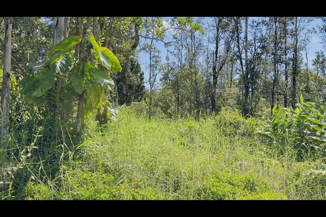 Uilani Dr, Pahoa, HI 96778