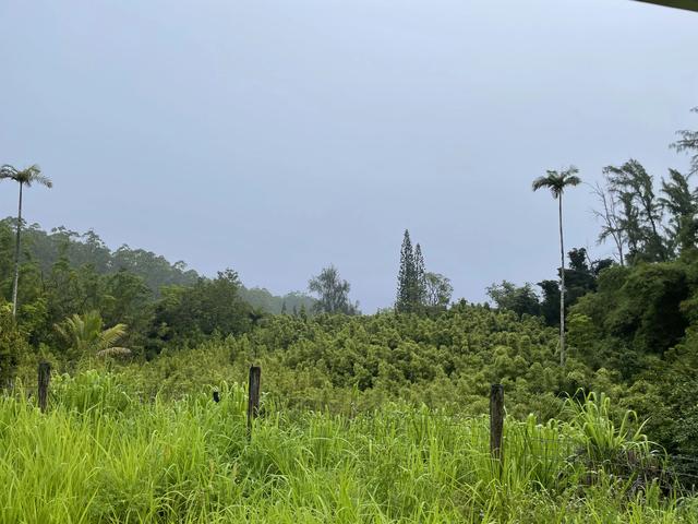 39-3342 Hana Ika Luna Camp Rd, Ookala, HI 96774