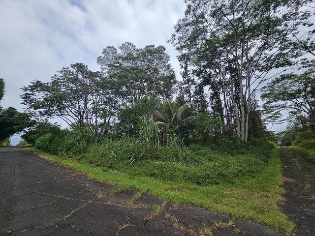 Pahoa Rd, Pahoa, HI 96778