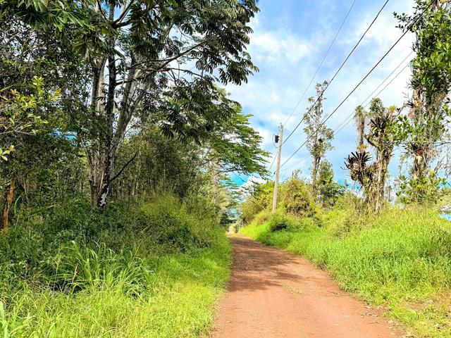 Silversword Ct, Kurtistown, HI 96760