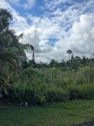 12-7056 Eelekoa St, Pahoa, HI 96778