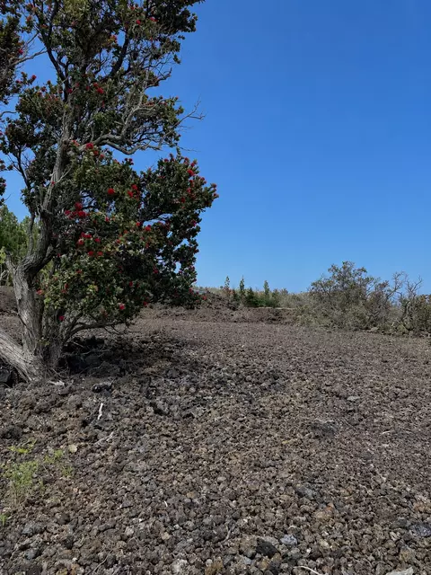 Tiki Ln, Ocean View, HI 96737